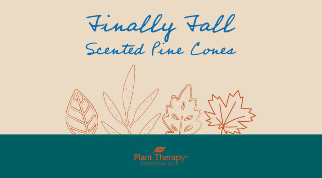 Finally Fall Scented Pine Cones
