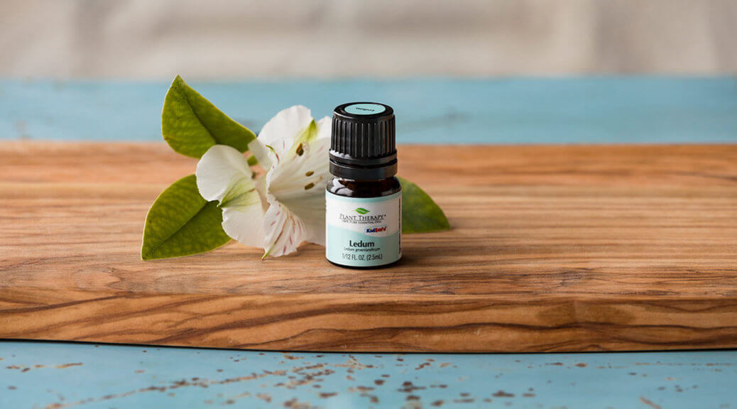 May Oil of the Month Reveal: Ledum
