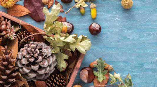 Essential Oils and Transitioning to Fall