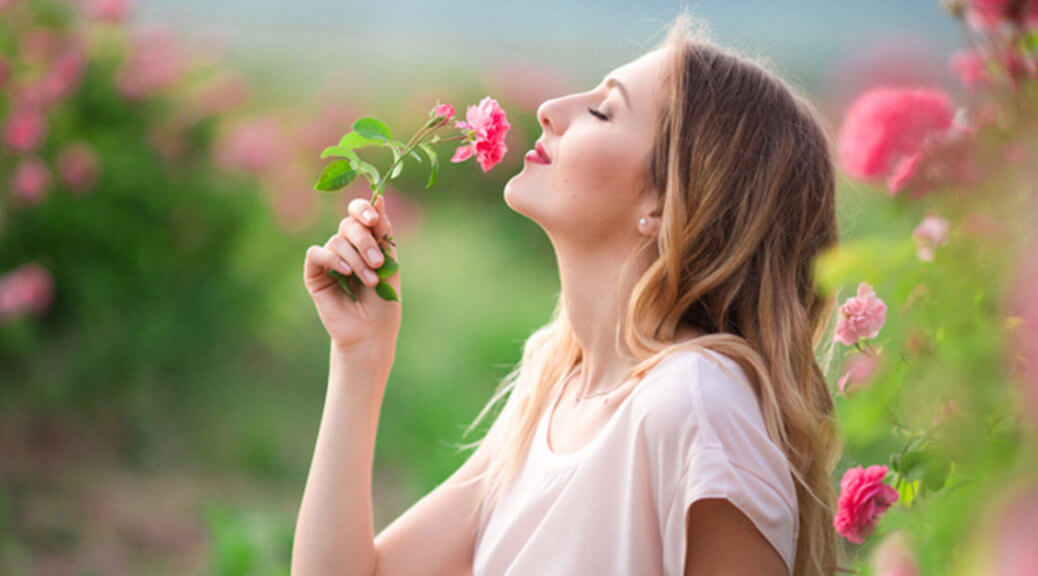 Shop by Scent: The Fragrance Wheel