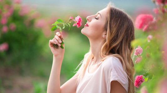 Shop by Scent: The Fragrance Wheel