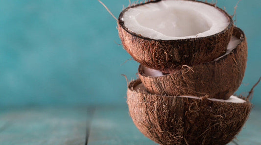 National Coconut Day: Why You Need Fractionated Coconut Oil