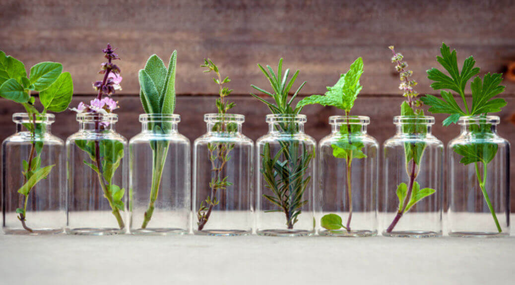 Can You Ingest Essential Oils?