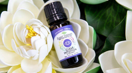 Chakra 6: Clear Intuition for the Third Eye/Brow Chakra + Incense DIY