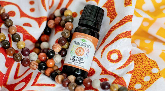 Chakra 2: Joyful Creation for the Sacral Chakra