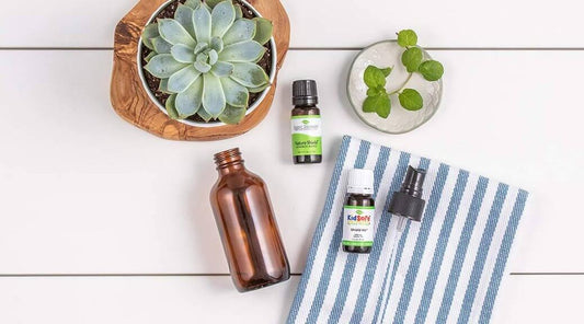 Non-Toxic Natural Pest Spray DIY