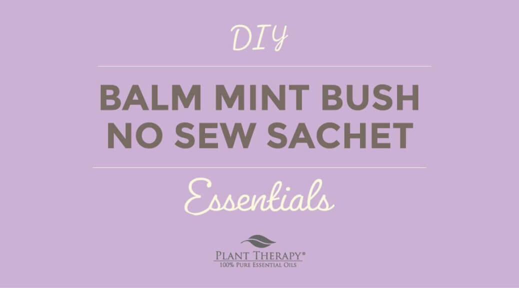 Essentials Video: Dresser Drawer No Sew Sachet DIY