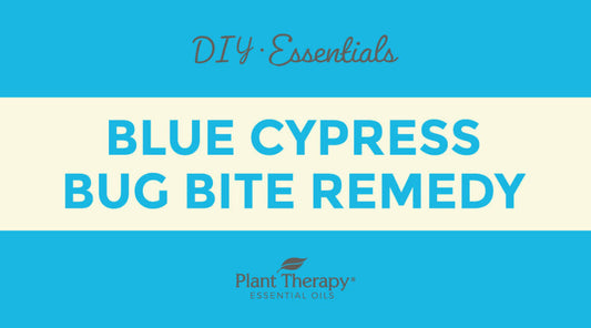 Essentials Video: Blue Cypress Bug Bite Remedy