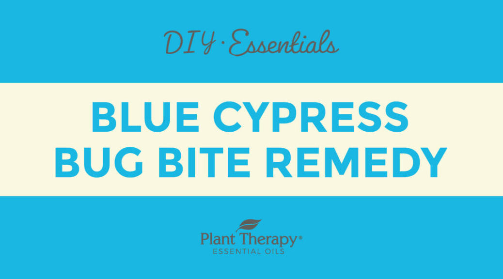 Essentials Video: Blue Cypress Bug Bite Remedy