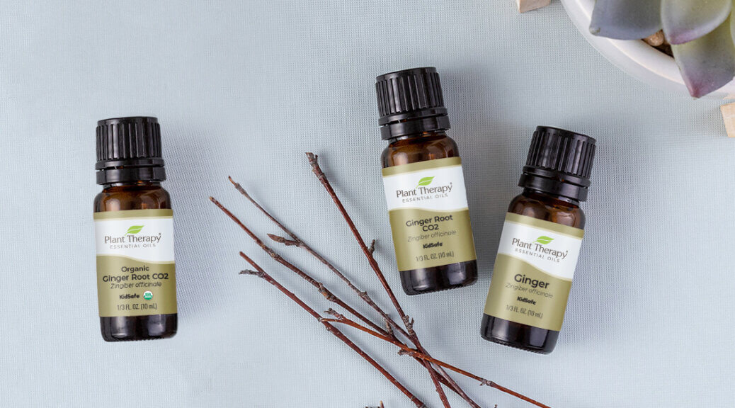 Benefits of Ginger Plant Therapy