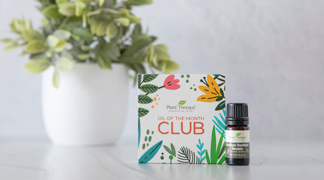 March Oil of the Month Reveal: Decalepis Hamiltonii Absolute