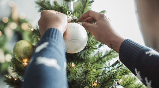 O Christmas Tree, O Christmas Tree - Our Favorite Evergreen Oils