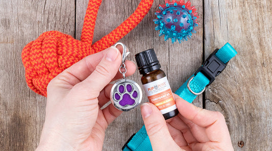 How to Use the Paw Pal Diffuser