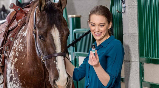 Essential Oils and Horses