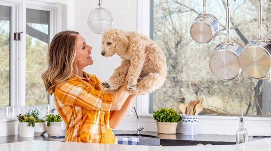 Essential Oils and Pets