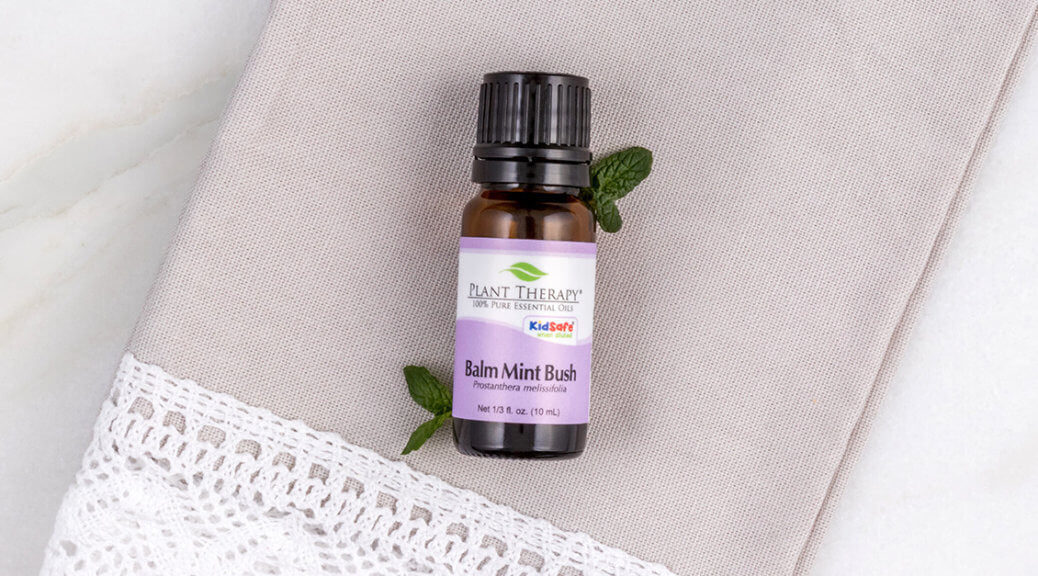 January Oil Of The Month: Balm Mint Bush