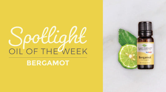 Bergamot: Spotlight Oil of the Week