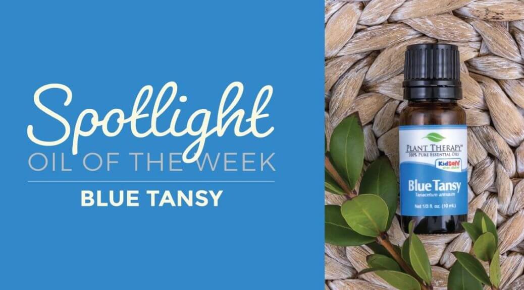 Blue Tansy: Essential Oil Spotlight of the Week