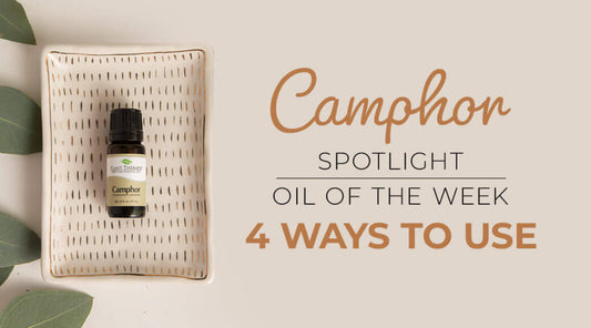Top 4 Ways to Use Camphor: Our Essential Oil Spotlight of the Week
