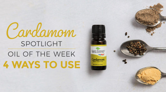 Top 4 Ways to Use Cardamom Essential Oil