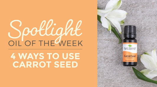 4 Ways to Use Carrot Seed Essential Oil