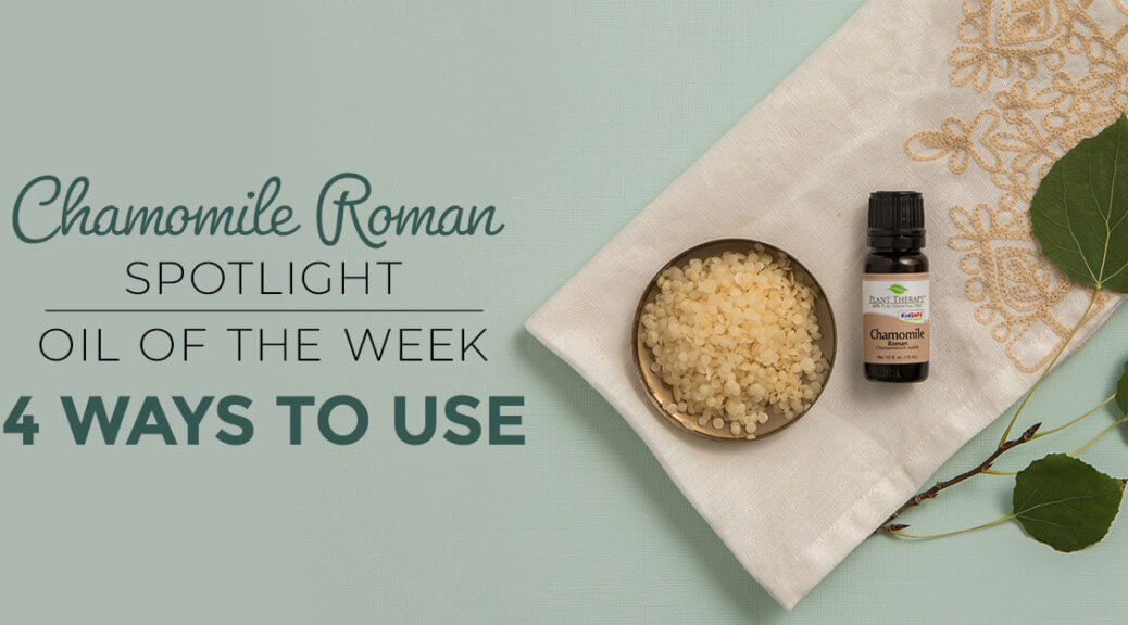 Top 4 Ways to Use Chamomile Roman: Our Essential Oil Spotlight of the Week