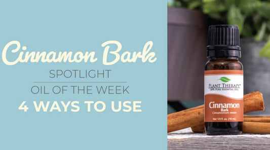 Top 4 Ways to Use Cinnamon Bark: Our Essential Oil Spotlight of the Week
