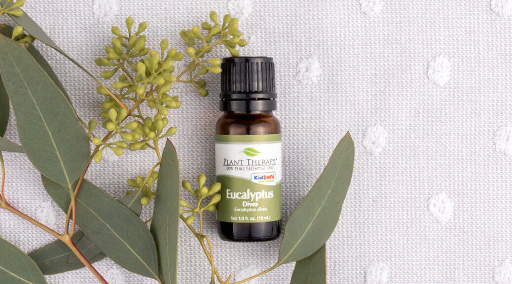 Plant Therapy's Top 5 Ways to Use Eucalyptus Dives