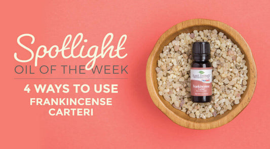 4 Ways to Use Frankincense Carterii Essential Oil