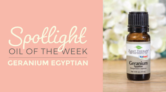 Geranium Egyptian: Essential Oil Spotlight of the Week
