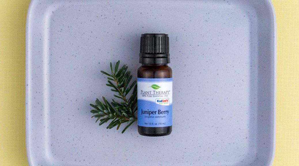 Top 4 Ways to Use Juniper Berry Essential Oil