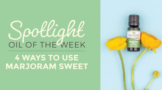 4 Ways to Use Sweet Marjoram Essential Oil