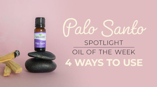 Top 4 Ways to Use Palo Santo Essential Oil