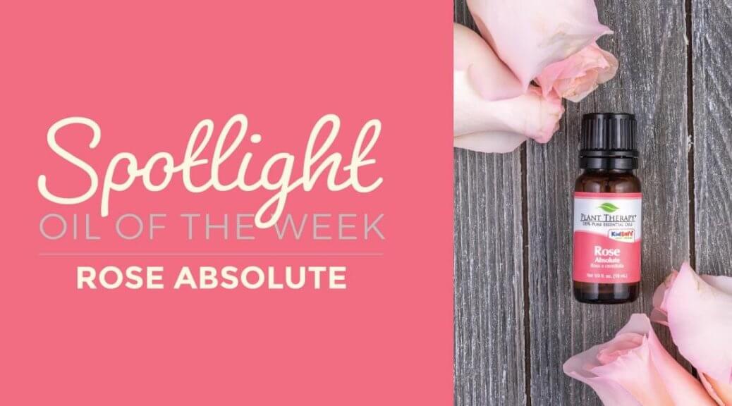 Rose Absolute: Essential Oil Spotlight of the Week