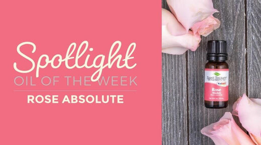 Rose Absolute: Essential Oil Spotlight of the Week