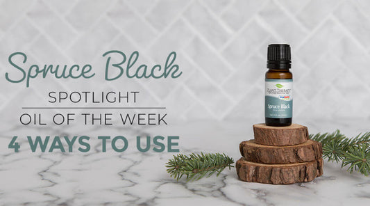 Top 4 Ways to Use Spruce Black Essential Oil