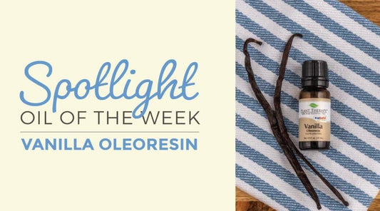Vanilla Oleoresin: Essential Oil Spotlight of the Week
