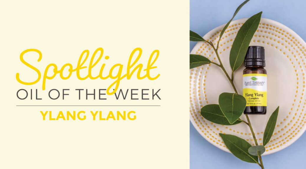 Ylang Ylang Complete: Essential Oil Spotlight of the Week