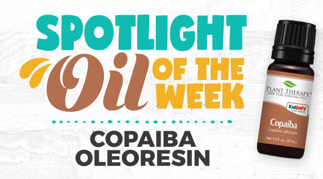 Copaiba Oleoresin Essential Oil: Spotlight Oil of the Week