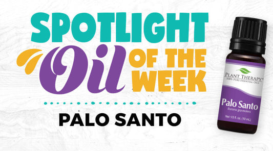 Palo Santo: Essential Oil Spotlight of the Week