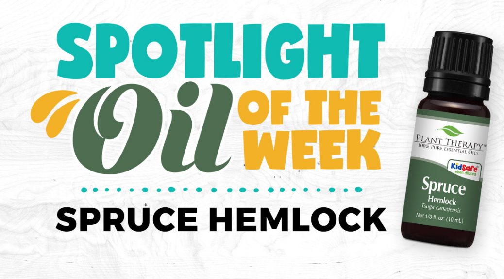 Spruce Hemlock: Essential Oil Spotlight of the Week