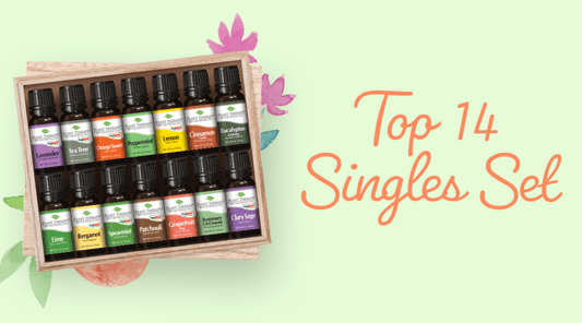 Meet Our Sets: Top 14 Singles Set!