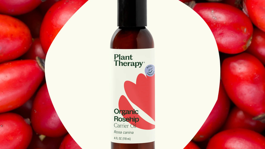 Rosehip Oil Benefits For Skin And Beyond