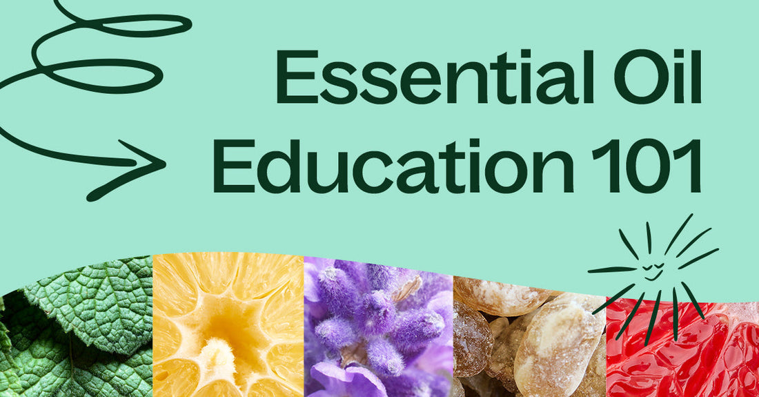 What Are Essential Oils? Everything You Need to Know Before You Start