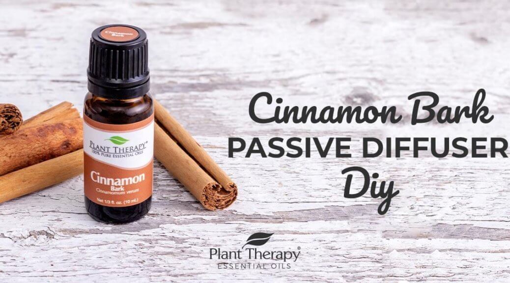 Essentials Video: Fall-Inspired Cinnamon Bark Passive Diffuser