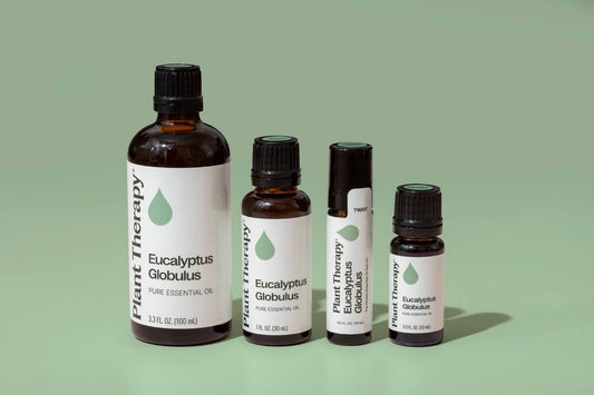 What Is Eucalyptus Oil Good For In Daily Life