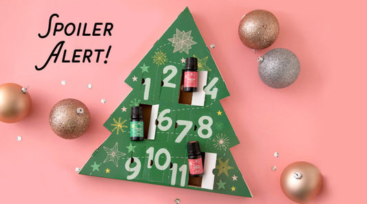 SPOILERS: Advent Calendar Reveal!
