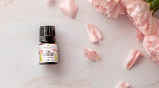 August Oil of the Month Reveal: Pink Carnation Absolute
