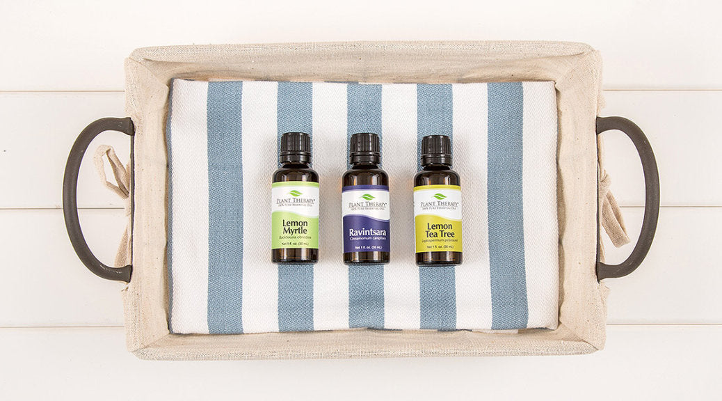 Lemon Myrtle Essential Oil 4 Great Uses & Benefits Plant Therapy