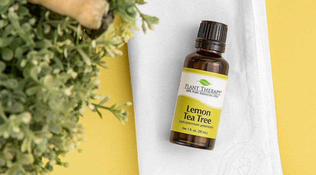 September Oil of the Month - Lemon Tea Tree